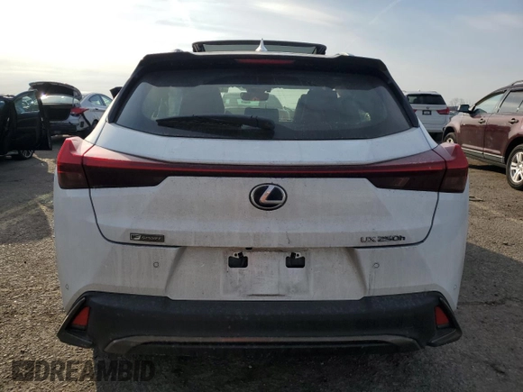 2021 Lexus UX with VIN JTHR9JBH2M2049747, listed as a Copart auction lot 43319555 with 22,606 mi miles and Salvage Title. Bid and sale history available at carsss.com. Image 6.
