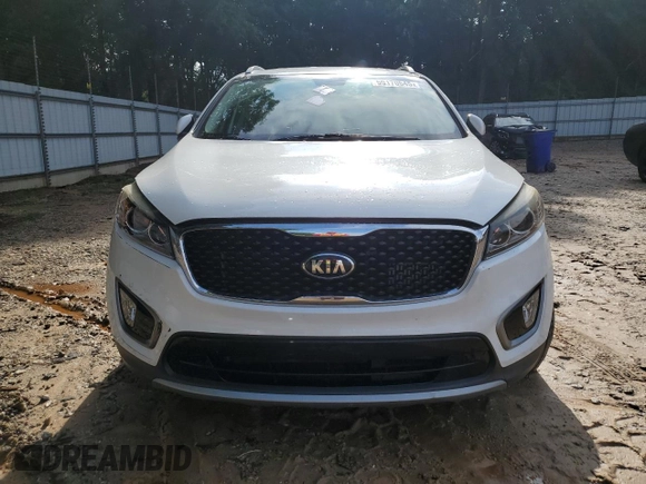 2016 Kia Sorento EX with VIN 5XYPH4A18GG041373, listed as a Copart auction lot 59170545 with 110,408 mi miles and Salvage title. Bid and sale history available at DreamBid. Image 5.