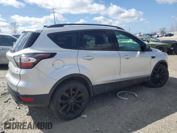 2017 Ford Escape SE with VIN 1FMCU9GD2HUC63427, listed as a Copart auction lot 50571535 with 102,911 mi miles and Salvage Title. Bid and sale history available at carsss.com. Image 3.