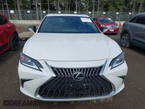 2024 Lexus ES 250 with VIN 58AD11D17RU012342, listed as a IAAI auction lot 42207023 with 12,930 mi miles and . Bid and sale history available at DreamBid. Image 13.