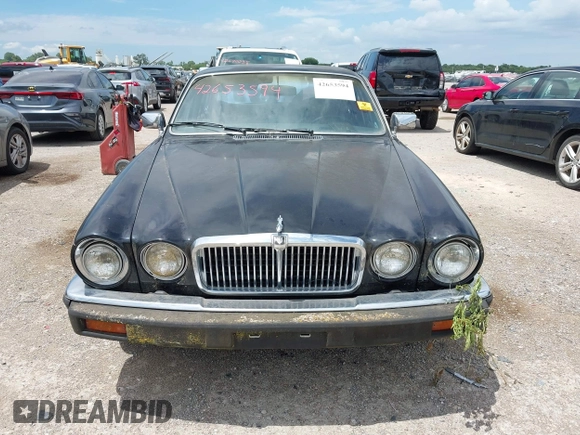 1982 Jaguar XJ with VIN SAJAV1248CC341050, listed as a IAAI auction lot 42653594 with Not provided miles and . Bid and sale history available at DreamBid. Image 12.