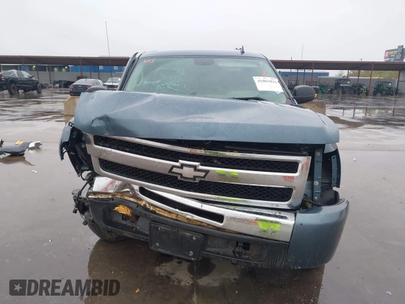 2010 Chevrolet Silverado 1500 LS with VIN 1GCSCREA5AZ176206, listed as a IAAI auction lot 41003831 with 126,617 mi miles. Bid and sale history available at carsss.com. Image 13.