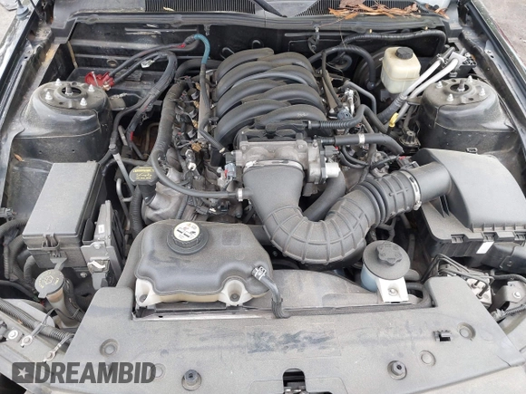 2008 Ford Mustang GT Deluxe with VIN 1ZVHT85H785205902, listed as a IAAI auction lot 41940784 with 115,939 mi miles and . Bid and sale history available at DreamBid. Image 10.