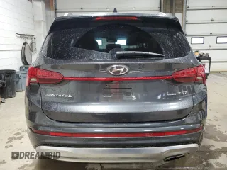 2023 Hyundai Santa Fe Calligraphy with VIN 5NMS5DAL6PH511782, listed as a Copart auction lot 58000945 with 31,566 mi miles and Salvage title. Bid and sale history available at DreamBid. Image 6.