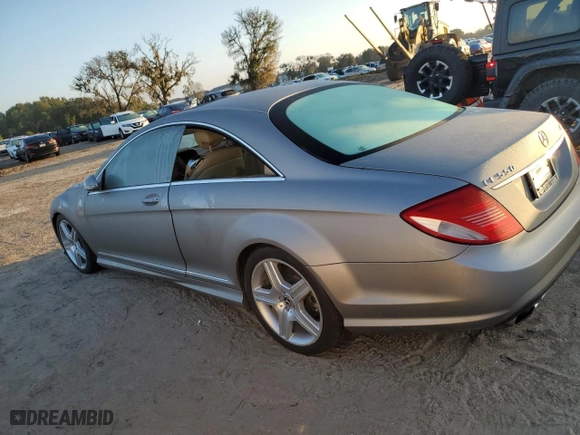 2009 Mercedes-Benz CL-Class 5.5L V8 with VIN WDDEJ86X49A022571, listed as a Copart auction lot 73634554 with NaN miles and Salvage Title. Bid and sale history available at carsss.com. Image 2.