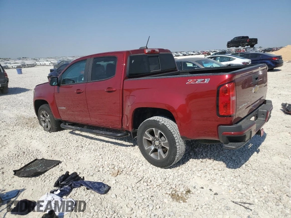 2019 Chevrolet Colorado 2WD Z71 with VIN 1GCGSDEN7K1300135, listed as a Copart auction lot 74929894 with Not Provided miles and Salvage Title. Bid and sale history available at carsss.com. Image 2.