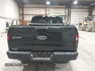 2017 Ford F-150 XL with VIN 1FTEX1EP0HFB72292, listed as a IAAI auction lot 41649699 with 102,132 mi miles. Bid and sale history available at carsss.com. Image 17.