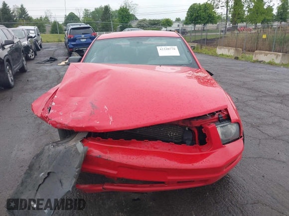 2005 Ford Mustang Deluxe with VIN 1ZVFT80N555110559, listed as a IAAI auction lot 42320778 with 117,594 mi miles and . Bid and sale history available at DreamBid. Image 12.