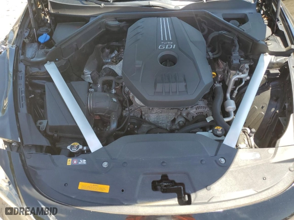 2019 Kia Stinger Premium with VIN KNAE25LA1K6052882, listed as a Copart auction lot 57794184 with 55,498 mi miles and Salvage Title. Bid and sale history available at carsss.com. Image 11.
