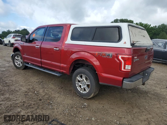 2015 Ford F-150 XLT with VIN 1FTEW1EG8FKE33918, listed as a Copart auction lot 60972635 with 258,002 mi miles and Salvage title. Bid and sale history available at DreamBid. Image 2.