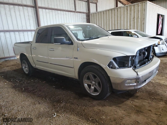 2010 Dodge Ram 1500 SLT with VIN 1D7RB1CT4AS226289, listed as a Copart auction lot 69401064 with 270,741 mi miles and Salvage Title. Bid and sale history available at carsss.com. Image 4.