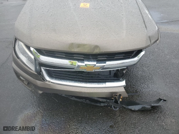 2016 Chevrolet Colorado 4WD LT with VIN 1GCGTCE34G1168478, listed as a Copart auction lot 49151905 with 0 mi miles and Salvage Title. Bid and sale history available at carsss.com. Image 11.