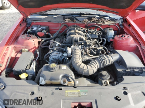 2010 Ford Mustang V6 with VIN 1ZVBP8AN4A5172398, listed as a Copart auction lot 50214925 with 113,094 mi miles and Salvage Title. Bid and sale history available at DreamBid. Image 11.