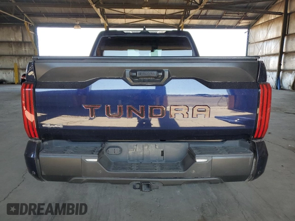 2022 Toyota Tundra SR5 with VIN 5TFLA5DB3NX028618, listed as a Copart auction lot 61807005 with 9,797 mi miles and Salvage title. Bid and sale history available at DreamBid. Image 6.