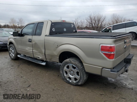 2010 Ford F-150 XL with VIN 1FTFX1CV3AFD17207, listed as a Copart auction lot 44138395 with 122,570 mi miles and Salvage Title. Bid and sale history available at carsss.com. Image 2.