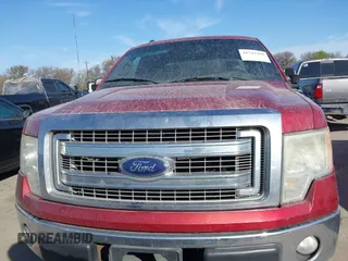 2014 Ford F-150 XL with VIN 1FTEX1CM9EFB16548, listed as a IAAI auction lot 41743490 with 232,325 mi miles and . Bid and sale history available at DreamBid. Image 6.