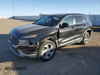 2021 Hyundai Santa Fe SE with VIN 5NMS1DAJXMH329833, listed as a Copart auction lot 42905865 with 116,308 mi miles and Salvage Title. Bid and sale history available at carsss.com. Image 1.