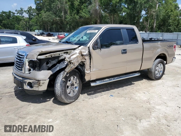 2011 Ford F-150 XL with VIN 1FTEX1EM8BFD20153, listed as a Copart auction lot 60405365 with 239,383 mi miles and Salvage title. Bid and sale history available at DreamBid. Image 1.
