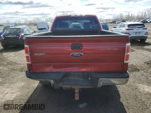 2013 Ford F-150 XL with VIN 1FTFX1EF0DFB86523, listed as a Copart auction lot 53498135 with 460,305 mi miles and Salvage title. Bid and sale history available at DreamBid. Image 6.