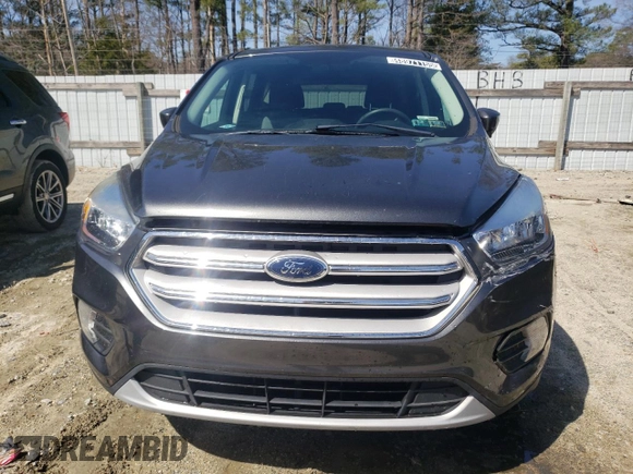 2019 Ford Escape SE with VIN 1FMCU0GD3KUA26822, listed as a Copart auction lot 48971155 with 118,032 mi miles and Clean Title. Bid and sale history available at carsss.com. Image 5.