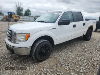 2010 Ford F-150 XL with VIN 1FTEW1E80AFA10938, listed as a Copart auction lot 62770355 with 243,947 mi miles and Clean title. Bid and sale history available at DreamBid. Image 1.