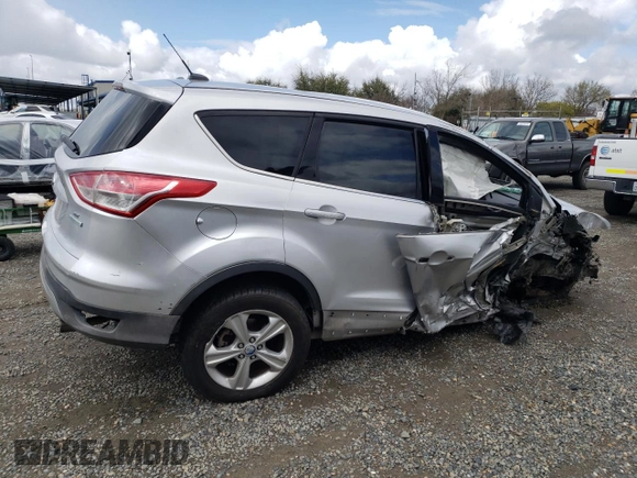 2013 Ford Escape SE with VIN 1FMCU0GX8DUC94066, listed as a Copart auction lot 49173525 with 0 mi miles and Salvage Title. Bid and sale history available at carsss.com. Image 3.