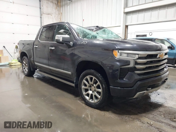 2023 Chevrolet Silverado 1500 with VIN 3GCUDJE89PG123831, listed as a IAAI auction lot 41361355 with 26,116 mi miles and . Bid and sale history available at DreamBid. Image 1.