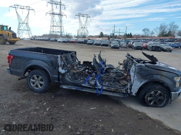2017 Ford F-150 XL with VIN 1FTEW1CP7HKC60057, listed as a IAAI auction lot 41440464 with 1 mi miles. Bid and sale history available at carsss.com. Image 19.