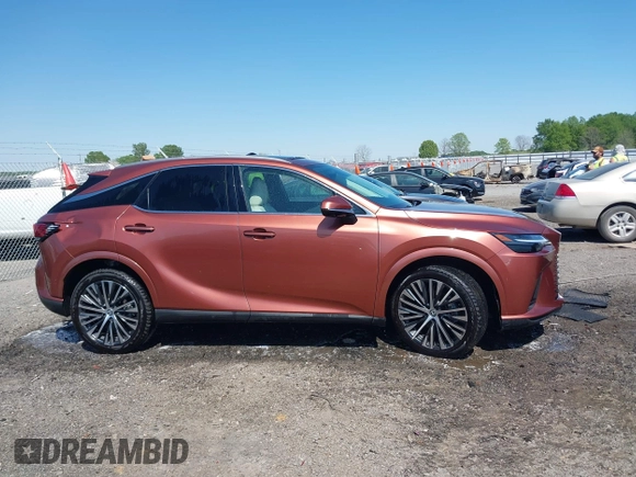 2024 Lexus RX 350 with VIN 2T2BAMCA5RC087894, listed as a IAAI auction lot 42022935 with 3,484 mi miles and . Bid and sale history available at DreamBid. Image 13.