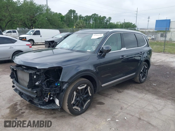 2024 Kia Telluride EX with VIN 5XYP34GC0RG491657, listed as a IAAI auction lot 41918338 with 19,511 mi miles and . Bid and sale history available at DreamBid. Image 17.