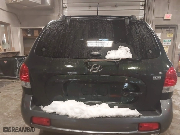 2006 Hyundai Santa Fe GLS with VIN KM8SC13E56U096895, listed as a IAAI auction lot 39109668 with 154,330 mi miles. Bid and sale history available at carsss.com. Image 16.