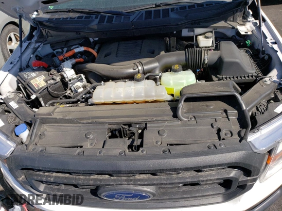 2021 Ford F-150 XL с VIN 1FTFW1CD7MFD11411, выставлен на аукционе Copart как лот 74180004 с пробегом 13 382 миль миль и Списание • Salvage title. История ставок и продаж доступна на DreamBid. Изображение 11.