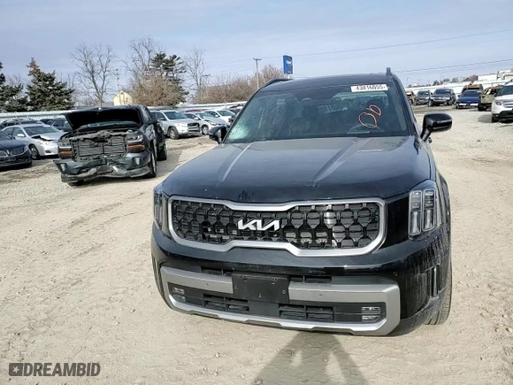 2023 Kia Telluride SX Prestige X-Line with VIN 5XYP5DGCXPG380590, listed as a Copart auction lot 43816055 with 34,014 mi miles and Salvage Title. Bid and sale history available at carsss.com. Image 11.