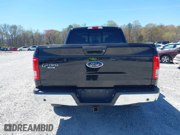 2016 Ford F-150 XL with VIN 1FTEW1CP9GKD19382, listed as a IAAI auction lot 41879550 with 241,480 mi miles and . Bid and sale history available at carsss.com. Image 16.