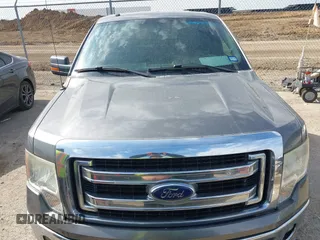 2013 Ford F-150 XL with VIN 1FTEX1CM8DFD67446, listed as a IAAI auction lot 41891784 with 159,909 mi miles and . Bid and sale history available at DreamBid. Image 12.