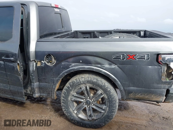 2017 Ford F-150 XL with VIN 1FTFW1EG1HKD42609, listed as a IAAI auction lot 41698693 with 130,402 mi miles and . Bid and sale history available at DreamBid. Image 6.