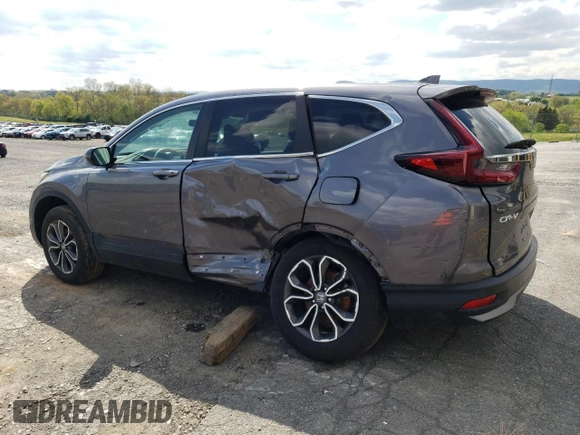 2022 Honda CR-V EX with VIN 7FARW2H50NE021526, listed as a Copart auction lot 50071883 with 19,166 mi miles and . Bid and sale history available at DreamBid. Image 2.
