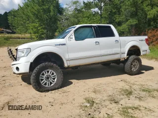 2009 Ford F-150 XL with VIN 1FTPW14V29FA73454, listed as a Copart auction lot 60609365 with 244,045 mi miles and Salvage title. Bid and sale history available at DreamBid. Image 1.