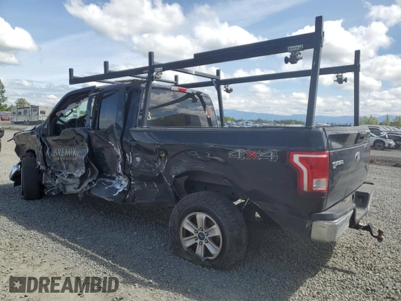 2017 Ford F-150 XL with VIN 1FTEX1E82HFA34892, listed as a Copart auction lot 44759455 with 102,764 mi miles and Salvage Title. Bid and sale history available at carsss.com. Image 2.