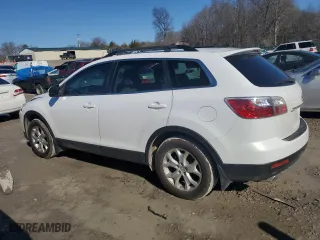 2011 Mazda CX-9 Touring with VIN JM3TB2CAXB0316670, listed as a Copart auction lot 42853135 with 175,366 mi miles and Clean Title. Bid and sale history available at carsss.com. Image 2.