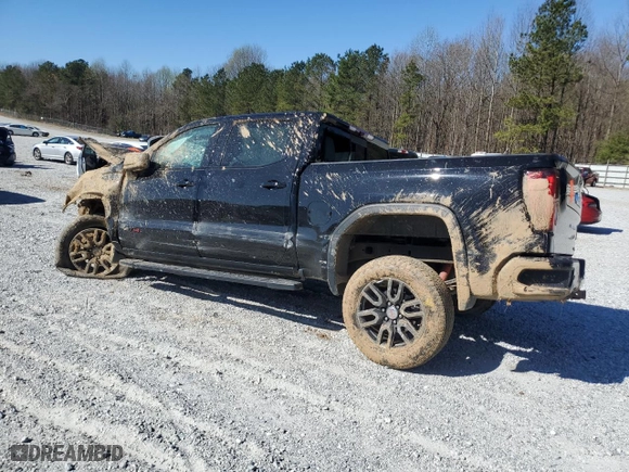 2020 GMC Sierra 1500 AT4 with VIN 1GTP9EEL9LZ359724, listed as a Copart auction lot 50170725 with 0 mi miles and Salvage Title. Bid and sale history available at carsss.com. Image 2.