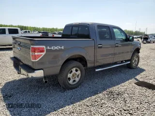 2013 Ford F-150 XL with VIN 1FTFW1EF6DKE27821, listed as a Copart auction lot 53462845 with 247,979 mi miles and Salvage title. Bid and sale history available at DreamBid. Image 3.