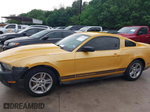 2011 Ford Mustang V6 with VIN 1ZVBP8AM5B5154811, listed as a IAAI auction lot 42161082 with 203,984 mi miles and . Bid and sale history available at carsss.com. Image 6.