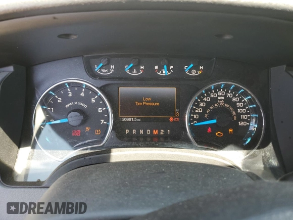 2013 Ford F-150 XL with VIN 1FTNF1CF6DKE88505, listed as a Copart auction lot 60310225 with 36,981 mi miles and Salvage title. Bid and sale history available at DreamBid. Image 9.