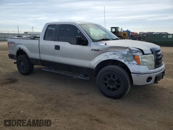 2010 Ford F-150 XL with VIN 1FTEX1EW1AFA91959, listed as a Copart auction lot 48774095 with 308,100 mi miles and Salvage Title. Bid and sale history available at carsss.com. Image 4.