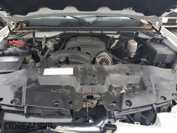2010 GMC Sierra 1500 with VIN 1GTSKTE06AZ192387, listed as a Copart auction lot 77755374 with 165,945 mi miles and Salvage Title. Bid and sale history available at DreamBid. Image 11.