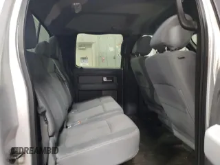 2013 Ford F-150 XL with VIN 1FTFW1EF1DFD38831, listed as a Copart auction lot 46692585 with 207,959 mi miles and Salvage Title. Bid and sale history available at DreamBid. Image 10.
