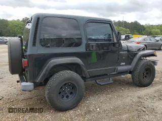 2002 Jeep Wrangler Sahara with VIN 1J4FA59S22P771136, listed as a Copart auction lot 51528665 with 236,882 mi miles and Salvage title. Bid and sale history available at DreamBid. Image 3.