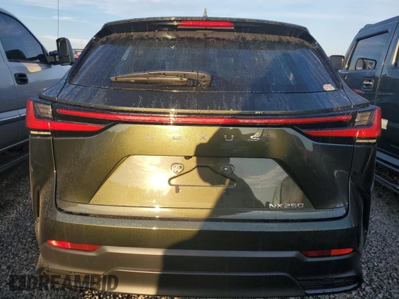2022 Lexus NX with VIN 2T2ADCAZ4NC002446, listed as a Copart auction lot 73936134 with 11,751 mi miles and Salvage Title. Bid and sale history available at carsss.com. Image 6.