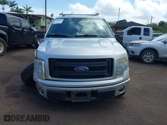 2014 Ford F-150 XL with VIN 1FTFW1EF3EFC96017, listed as a IAAI auction lot 41828150 with 113,599 mi miles. Bid and sale history available at carsss.com. Image 12.